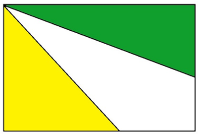 Bandera Institucional